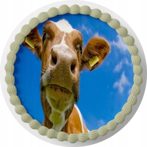 OPŁATEK NA TORT Krowa + GRATIS TEKST